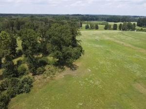 Prodej lesa, Chlum u Třeboně - Žíteč, 130000 m2