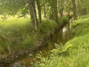 Prodej trvalého travního porostu, Chlum u Třeboně - Žíteč, 389696 m2