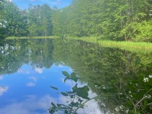 Prodej louky, Chlum u Třeboně - Žíteč, 360000 m2