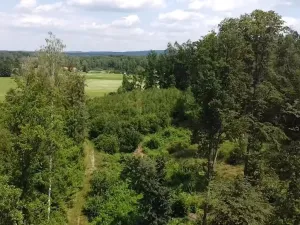 Prodej pole, Chlum u Třeboně - Žíteč, 130000 m2