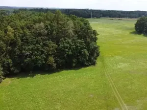 Prodej pole, Chlum u Třeboně - Žíteč, 130000 m2