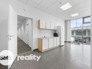 Pronájem obchodního prostoru, Brno - Trnitá, Škrobárenská, 450 m2