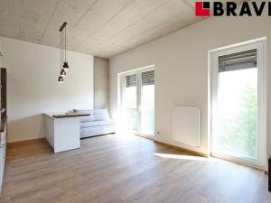 Pronájem bytu 1+kk, Brno - Horní Heršpice, Bohunická, 35 m2