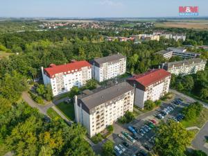 Prodej bytu 4+1, Milovice - Mladá, Lesní, 104 m2