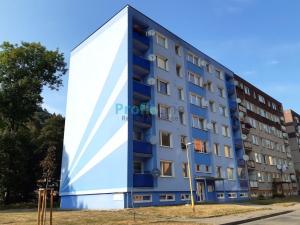 Pronájem bytu 3+1, Hanušovice, Na Holbě, 70 m2