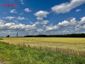 Prodej zemědělské půdy, Čejkovice, 13145 m2