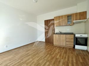 Pronájem bytu 1+kk, Plzeň, Na Chmelnicích, 27 m2