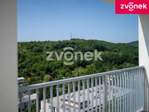 Pronájem bytu 3+kk, Zlín, Nad Stráněmi, 143 m2