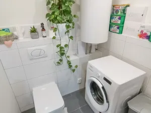 Prodej obchodního prostoru, Sušice, náměstí Svobody, 1250 m2