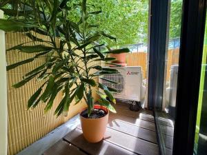 Pronájem bytu 1+kk, Praha - Nusle, K sídlišti, 47 m2