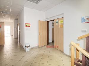 Pronájem ordinace, Znojmo, Tovární, 22 m2