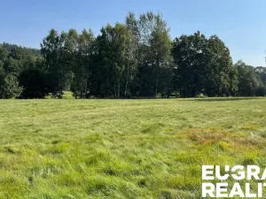 Prodej trvalého travního porostu, Šluknov, 14798 m2