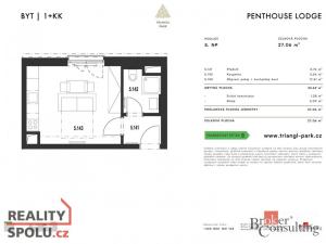 Prodej bytu 1+kk, Plzeň, Goldscheiderova, 27 m2