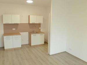 Pronájem bytu 1+kk, Slaný, Prokopa Holého, 28 m2