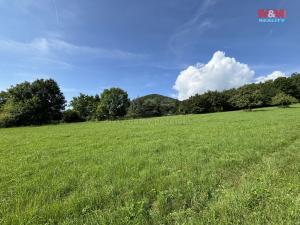 Prodej zemědělské půdy, Třebenice, 104829 m2