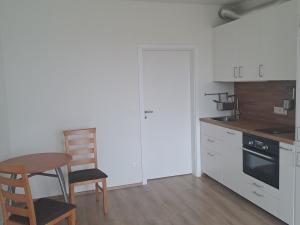 Pronájem bytu 1+kk, Pardubice - Pardubičky, Nová Tesla, 24 m2