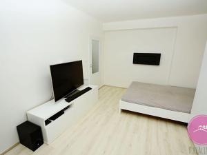 Pronájem bytu 1+kk, Olomouc, tř. Míru, 30 m2