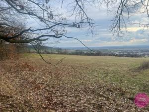 Prodej trvalého travního porostu, Bělkovice-Lašťany, 27123 m2