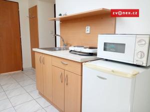 Pronájem bytu 1+kk, Babice, 30 m2