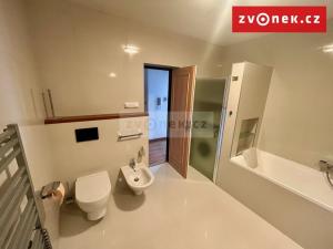 Pronájem rodinného domu, Zlín, Horní Vršava VII, 260 m2