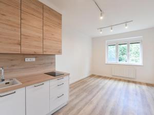 Pronájem bytu 1+kk, Praha - Michle, Hanusova, 26 m2