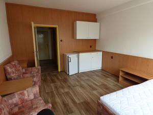 Pronájem bytu 1+kk, Brno, Heršpická, 24 m2