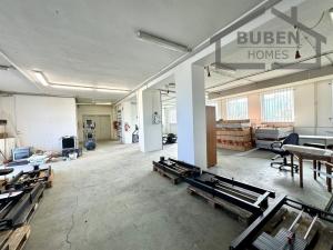 Pronájem výrobních prostor, Planá, Zámecká, 330 m2