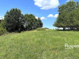 Prodej trvalého travního porostu, Svijanský Újezd, 8064 m2