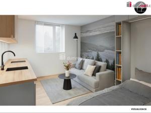 Prodej bytu 1+kk, Merklín - Pstruží, 25 m2