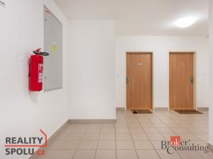 Pronájem bytu 2+kk, Mladá Boleslav - Michalovice, 89 m2