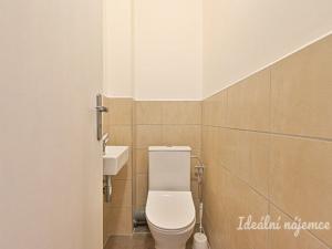 Pronájem bytu 2+1, Brno - Veveří, Cihlářská, 53 m2