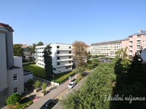 Pronájem bytu 2+1, Brno - Veveří, Cihlářská, 53 m2
