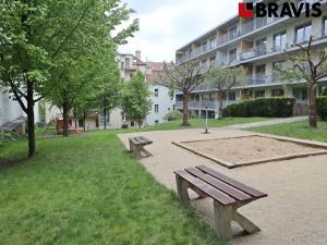 Pronájem bytu 1+kk, Brno - Staré Brno, Leitnerova, 43 m2