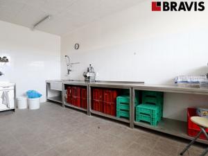 Pronájem výrobních prostor, Šlapanice, Lidická, 462 m2