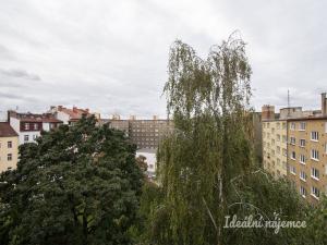 Pronájem bytu 2+kk, Praha - Libeň, Drahobejlova, 52 m2