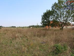 Prodej pozemku pro bydlení, Ptice, Do Loužku, 800 m2