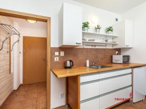 Pronájem bytu 2+kk, Černý Důl, 42 m2