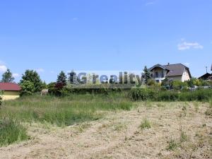 Prodej trvalého travního porostu, Srubec, Dobrovodská, 1330 m2