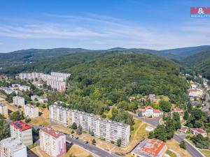 Prodej bytu 4+1, Litvínov - Janov, Hamerská, 68 m2