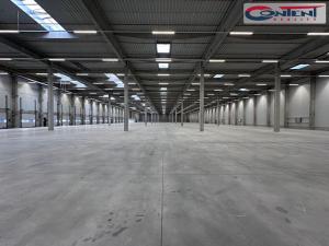 Pronájem skladu, Pardubice - Rosice, Salavcova, 12000 m2