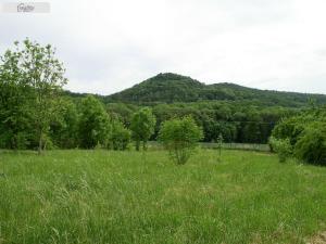 Prodej pozemku, Třebušín - Dolní Týnec, 2373 m2