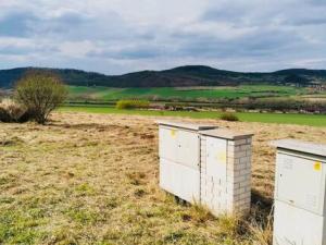 Prodej pozemku pro bydlení, Bavoryně - U Vodojemu, 814 m2