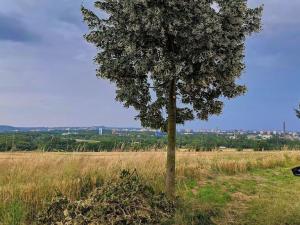 Prodej pozemku pro bydlení, Ostrava - Hošťálkovice, Nad Dubíčkem, 3621 m2