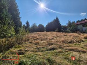 Prodej pozemku, Řídelov, 2672 m2