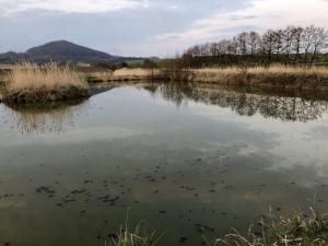 Prodej zemědělského objektu, Brniště - Velký Grunov, 7741 m2