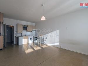 Pronájem bytu 1+kk, Karviná - Nové Město, tř. 17. listopadu, 29 m2