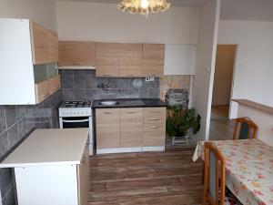 Pronájem bytu 4+1, Litvínov, Hamerská, 76 m2