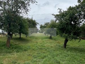 Prodej sadu/vinice, Velké Všelisy - Zamachy, 11900 m2