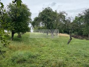 Prodej sadu/vinice, Velké Všelisy - Zamachy, 11900 m2
