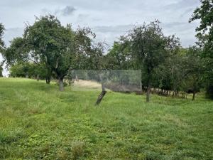 Prodej sadu/vinice, Velké Všelisy - Zamachy, 11900 m2